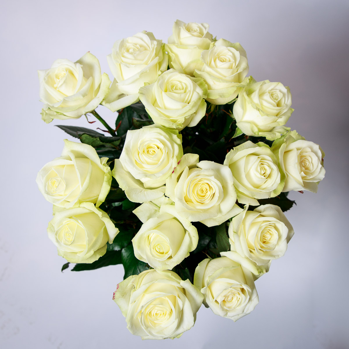 White roses bouquet | Pont de Chailly Fleurs | Florist in Lausanne