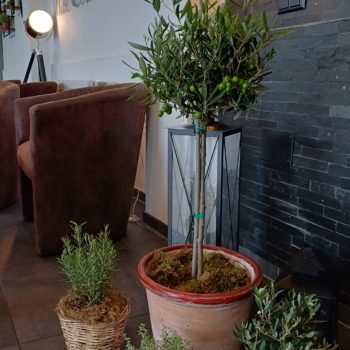 pont_de_chailly_fleurs_domaine_la_capitaine_gland_decoration_plantes_evenementiel_1